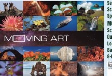 S.B. Permaculture Network Eco Hero Award and Moving Art Screening on the Outside Wall Lobero Theater