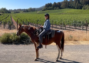 Three Ways to Wine Country in Northern California