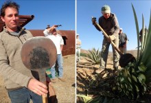 California Agave Spirit Producers Band Together