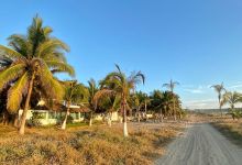 The Home Page: The Home Page Away from Home