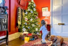 The Home Page: Kitchens, Colors, and More