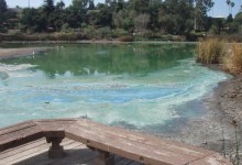 Santa Barbara City Hall Proposes Cure for Summertime Stench