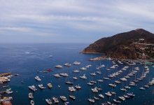 Cuisine, Cocktails, and Cruising on Catalina Island