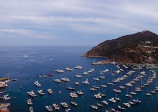 Cuisine, Cocktails, and Cruising on Catalina Island