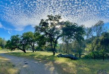 The Home Page: Country Living and Checkerboard Dreams