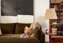 The Home Page: Palms & Ponies & Pups