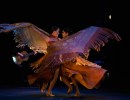 Siudy Garrido Flamenco Company Comes to the Lobero