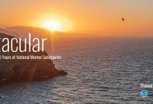 Virtual Field Trip to the Channel Islands