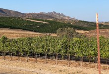 Full Belly Files | Learning the Language of Yes