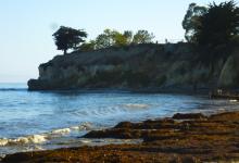 The Mustangs play Nite Moves