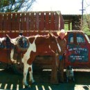 In Memoriam | Bill King: 1940-2022