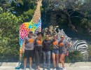 Young Professionals Volunteer At The Zoo