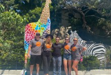 Young Professionals Volunteer At The Zoo
