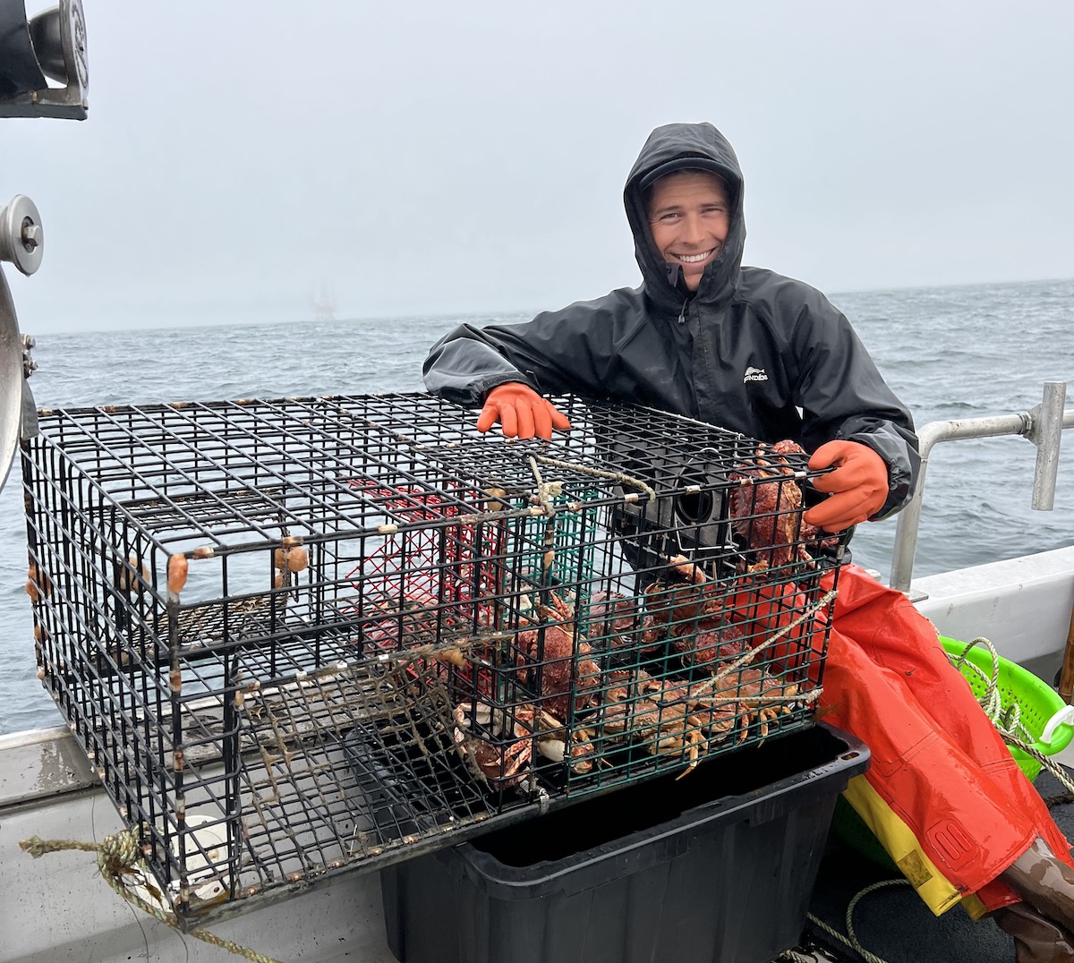 SEA WIND ABOVE SEA サンダル 8 Oakley Swell Line Rc 18