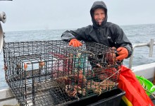 Giant Wind Turbines to Float off the Morro Bay Coast