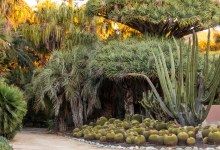 The Lowdown on Lotusland