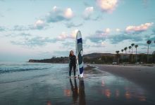 Full Belly Files | Wines to Find Now