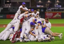 Poodle | Santa Barbara Foresters Are Already Here, Now It’s Time to Build It