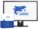 Braille Institute Workshop: Introduction to Jaws