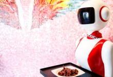 Love, Pot Stickers, and Robots in Santa Barbara