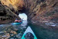 How to Shoot Wildlife Photography from a Kayak