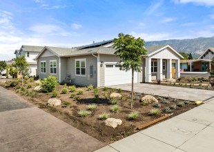 Cluster of New Cottages in Carpinteria