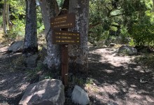 Plants/Rocks: 3; County: 0 — Latest in Hot Springs Trail Dispute