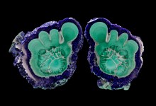 Science Pub: Beauty, Value, and Art in Nature