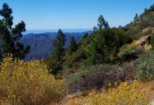 Summer Solstice Nature Hike on Pine Mountain