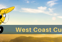 The 38 Annual West Coast Cub Fly-in