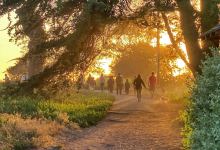 “SilentWalk” Brings Musical Meditation to the Carpinteria Bluffs