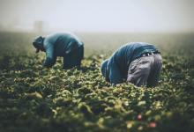 Grassroots Group Gets $10,000 from Fund for Santa Barbara