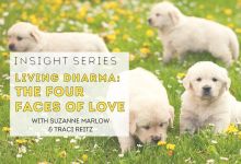 Living Dharma: The Four Faces of Love