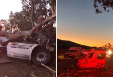 Driver Dead After Semi-Truck Plows into Trees on Highway 101