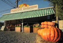 What’s Up at Fairview Gardens?