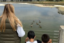 North Campus Open Space Free Public Nature Walk