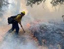 Brush Fire Caused by Catalytic Converter Burns 2-3 Acres in Buellton