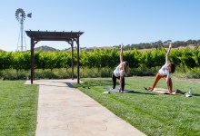Yoga in the Vineyard