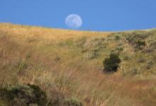 Open Weekend at Arroyo Hondo Preserve