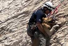 Man and Dog Rescued from Cliffs at More Mesa Beach in Santa Barbara