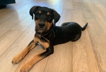 Ya-Ya, Eliza, and Peter