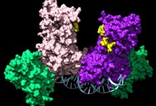 A New Kind of Chemo for Leukemia