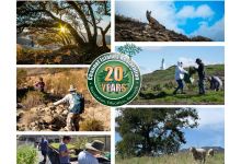 Virtual Presentation: Celebrate 20 Years Of Restoration and Education!