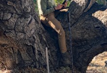Virtual Lectures from SB Botanic Garden on Friday Aug. 19 and Sept. 16