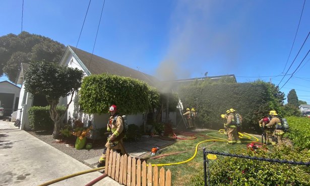 Family Cat Falls Victim to House Fire in Old Town Goleta