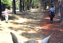 Don’t Choose Bad or Awful for Modoc Paths