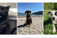 Vesper, Eliza, and Milo