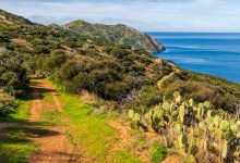 Catalina Island Conservancy:50 Years Past & Future