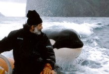Whales Without Walls: The Whale Sanctuary Project