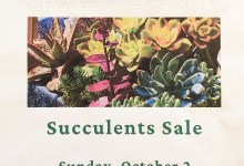 Santa Barbara Woman’s Club Succulent Sale